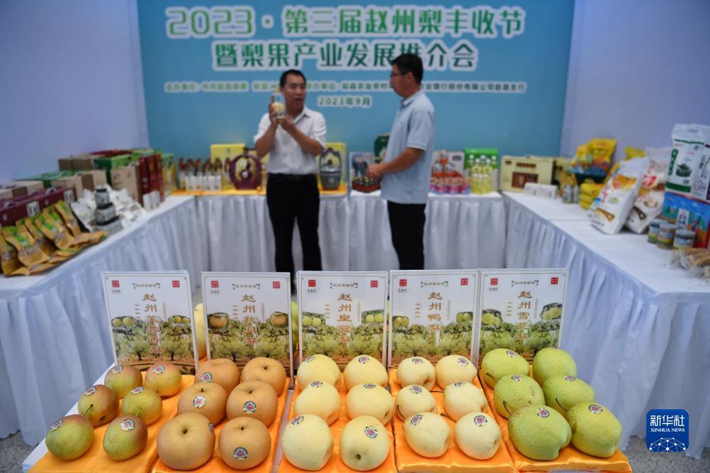 白菜送彩金大全网